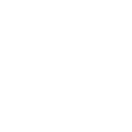 Boravai