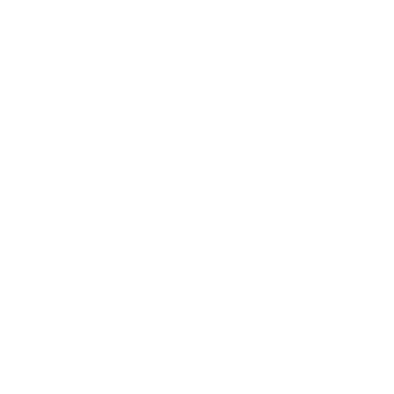 Boravai